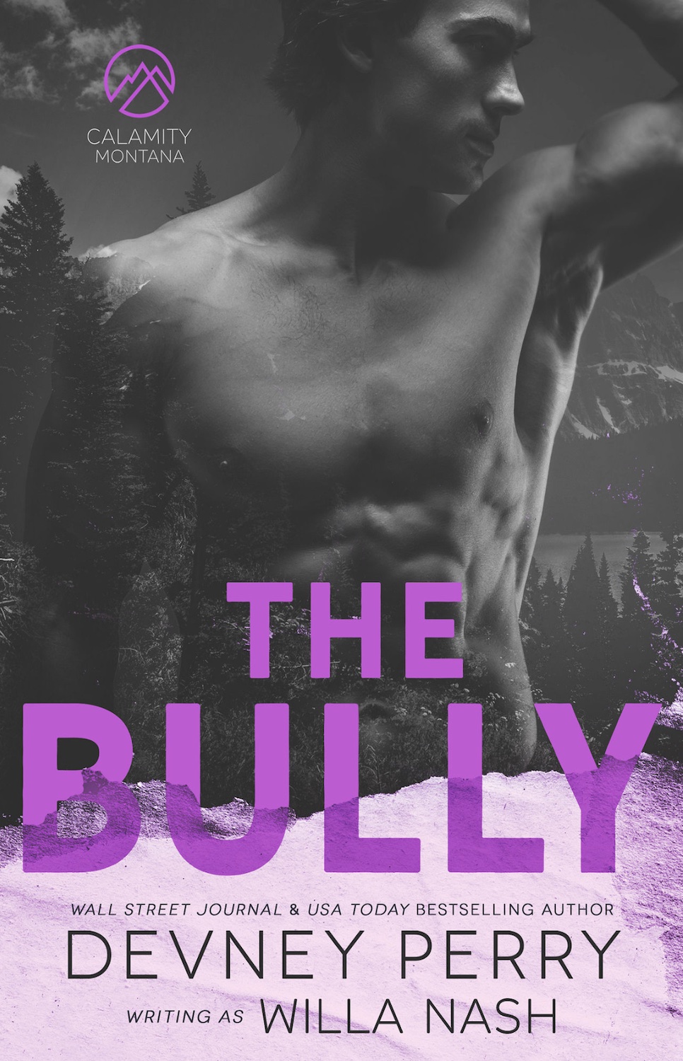 the bully by willa nash